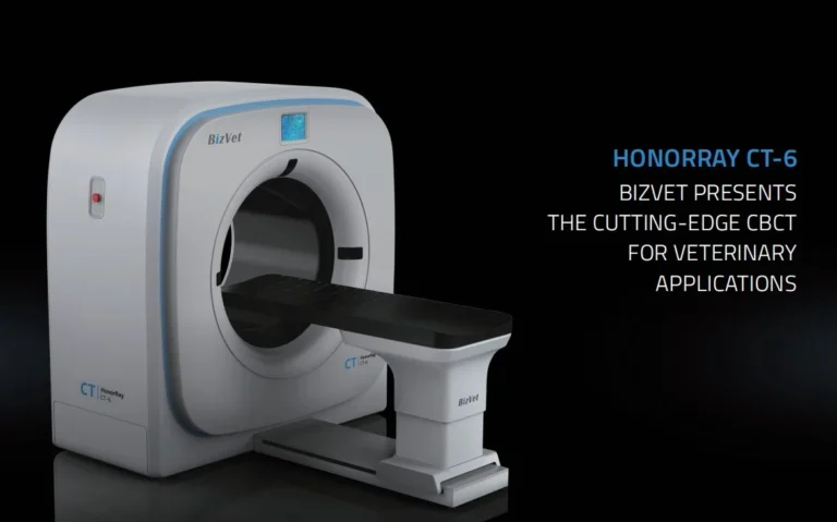 Máy CT Scan thú y hỗ trợ chẩn đoán nguyên nhân chó đi khập khiễng chính xác